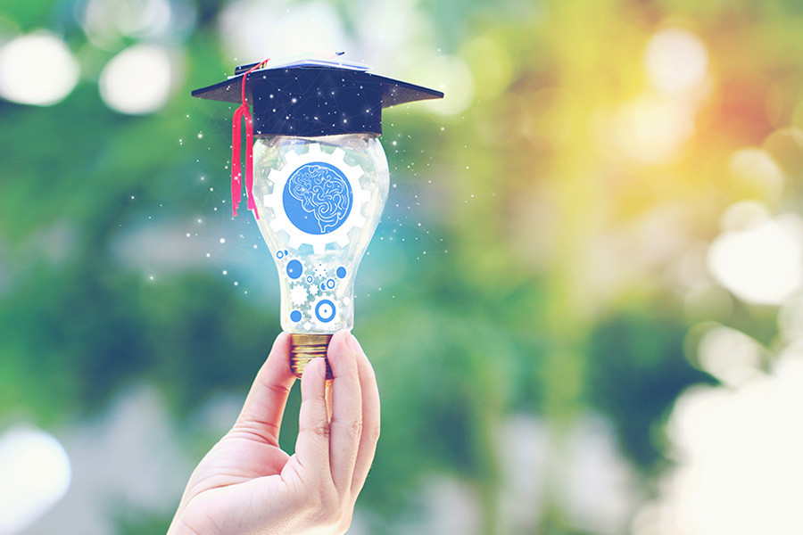 School Implementation and Educational Support