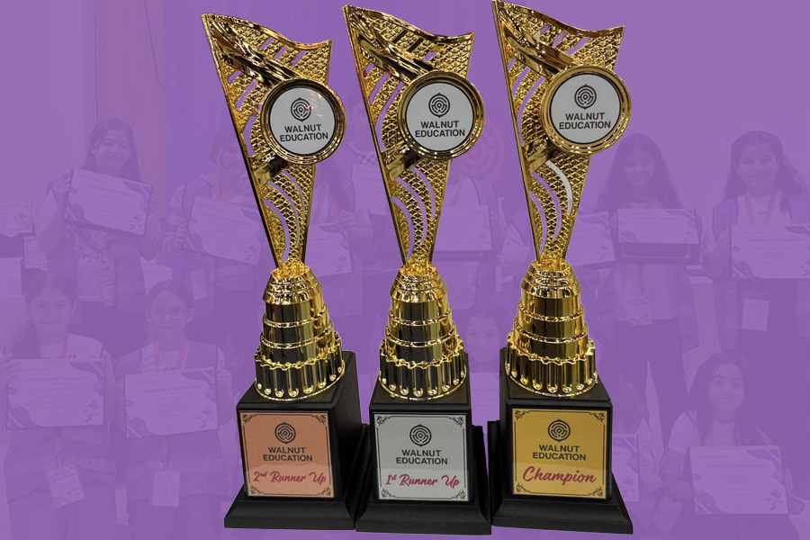 Bronze Project Example